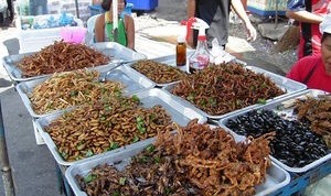 Tema 50. Puesto de venta de insectos comestibles. Tailandia.
