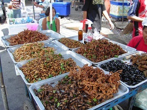 Tema 50. Puesto de venta de insectos comestibles. Tailandia.