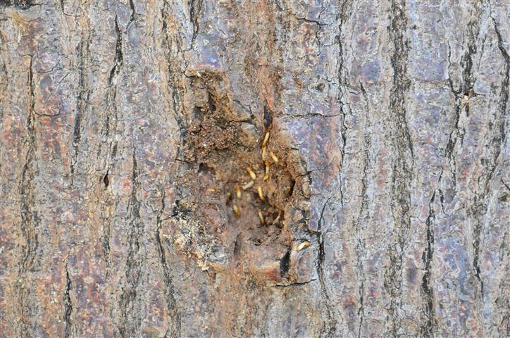 _DSC4052 (Small)