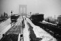 Gran tormenta de nieve en Nueva York, 1888