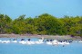 Costa de la Ciénaga de Zapata