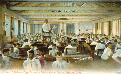 Lector de tabaquería