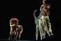 Danza Contemporánea de Cuba con el aclamado “Mambo 3XXI”