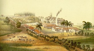 cuban-mills (Small)