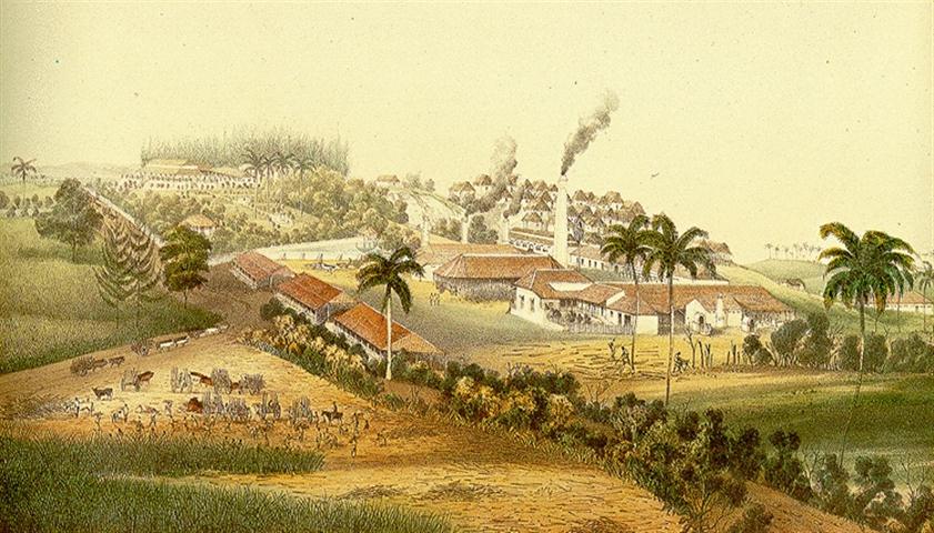 cuban-mills (Small)