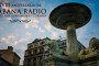 Aniv-XVII-HABANA-RADIO-Medium-328x178 copia