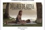 CARTEL DOLARES DE RENA (Medium)