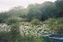 1200px-Isla_de_la_Juventud_-_Crocodile_area (Small)