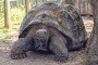 Islas-tortugas-galapagos2