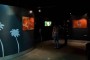 Sala de la diversidad (5)