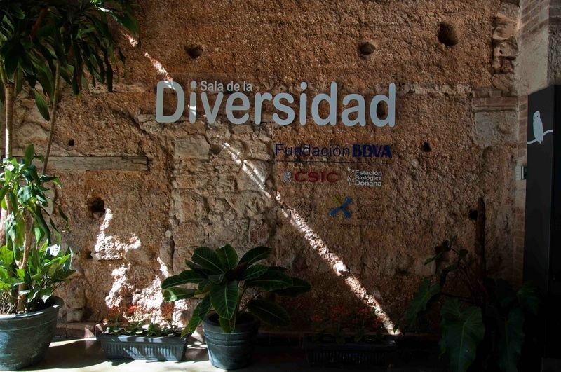 Sala de la diversidad (6)