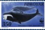 Tema 105. Ballena de Groenlandia