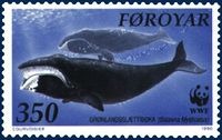 Tema 105. Ballena de Groenlandia