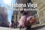 habana-danza-movimiento