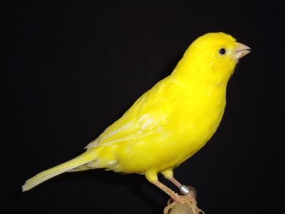 p1010159