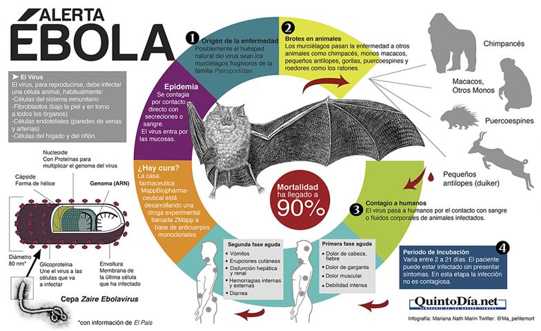 01-INFOGRAFIA-EBOLA- (Small)