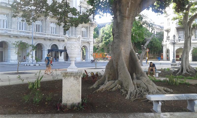 20170529_091016 (Small)