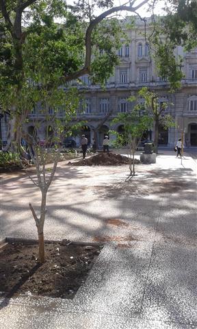 20170529_091939 (Small)