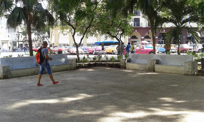20170605_093109 (Small)