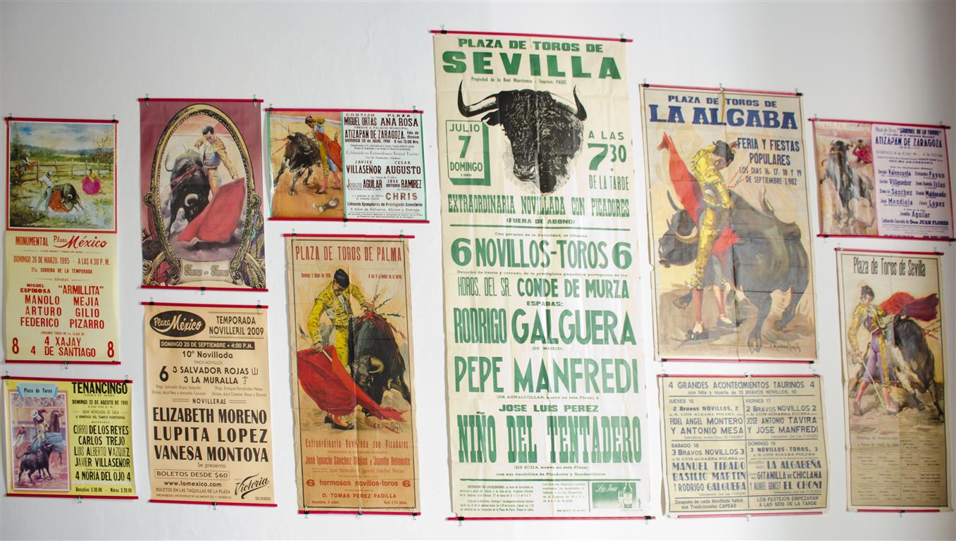EXPO 11 (Medium)
