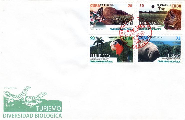 Sin título-1 (Small) (2)