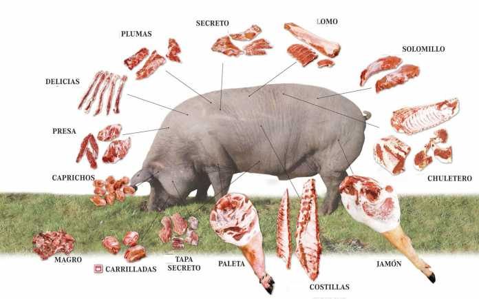 mitos-y-realidades-de-la-carne-de-cerdo-696x434