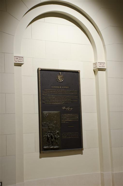 CRIPTA AL MAMBÍ DESCONOCIDO 11 (Medium)