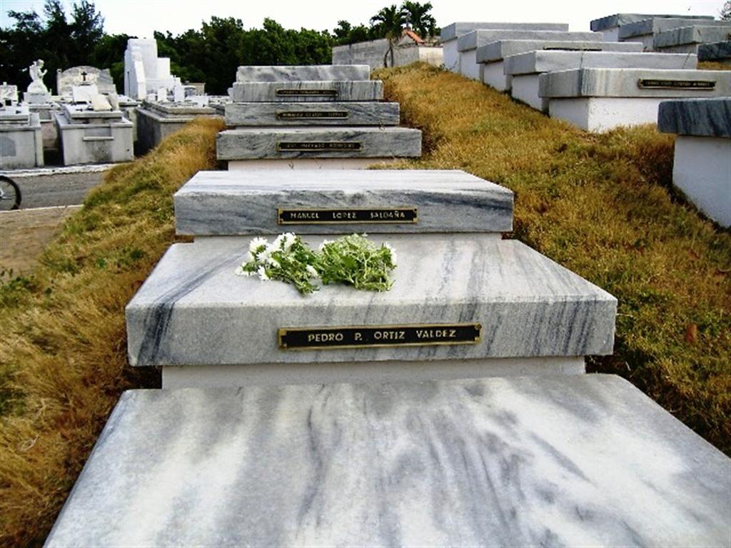 Memorial 13 de Marzo, Cementerio de Colón (5) (Medium)