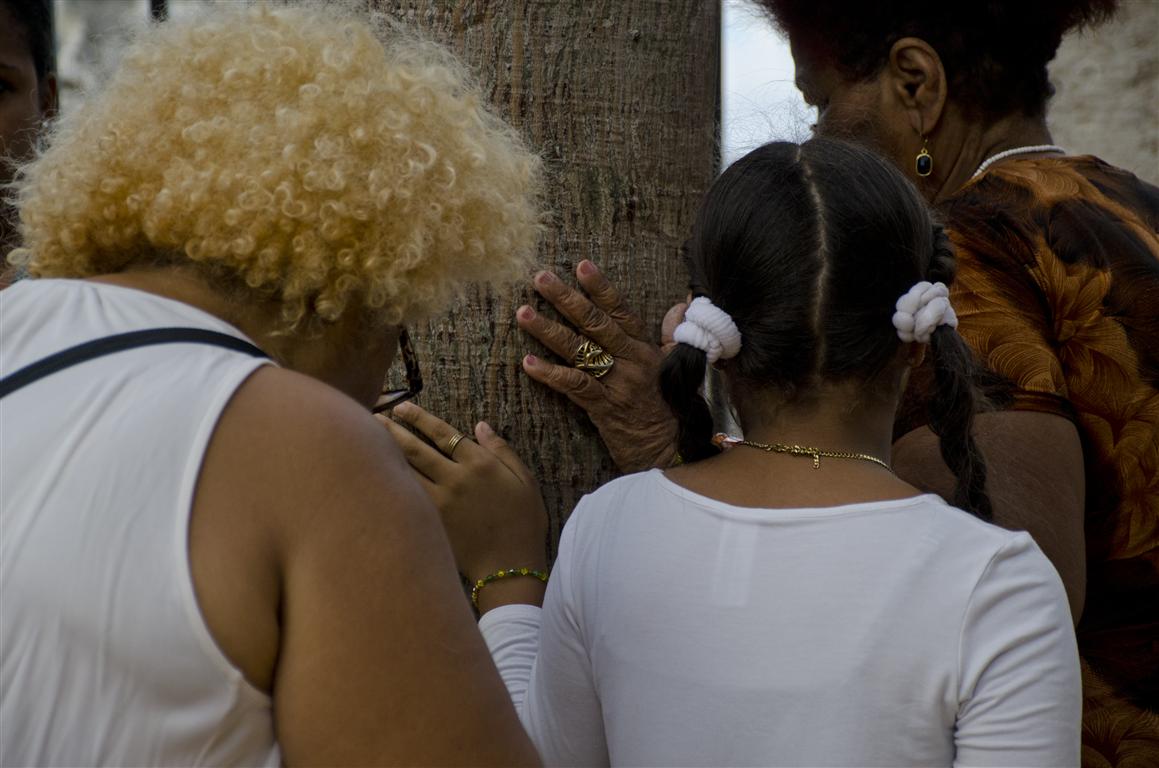 las vueltas a la ceiba 3 (Medium)