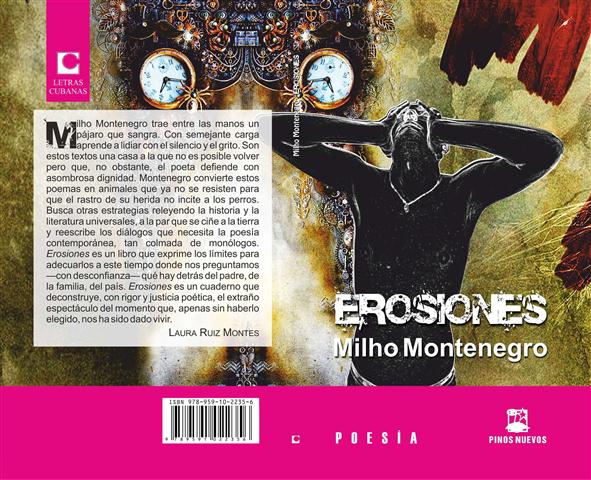 EROSIONES CUBIERTA (Small)