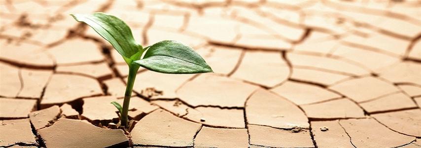 Resiliencia (Small)