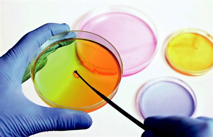 resistencia-bacteriana-a-tu-salud1 (Small)