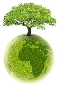Dia-Forestal-Mundial-7