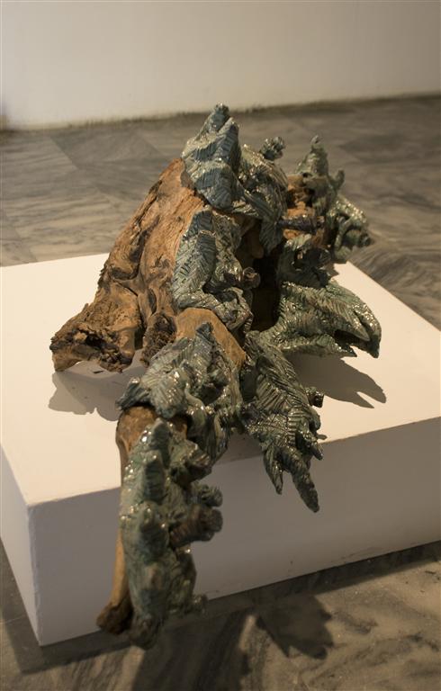 expo cordovés 3 (Medium)