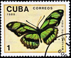 1aa158ccc99baed7a09f73a2fe5b24c7--stamp-collecting-postal
