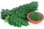 moringa.jpg_99027162