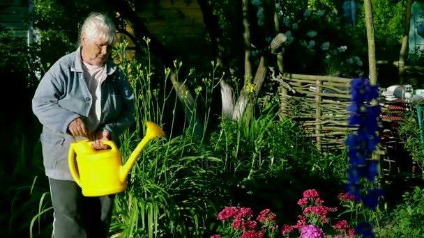 depositphotos_162531360-stock-video-elderly-woman-in-garden-watering