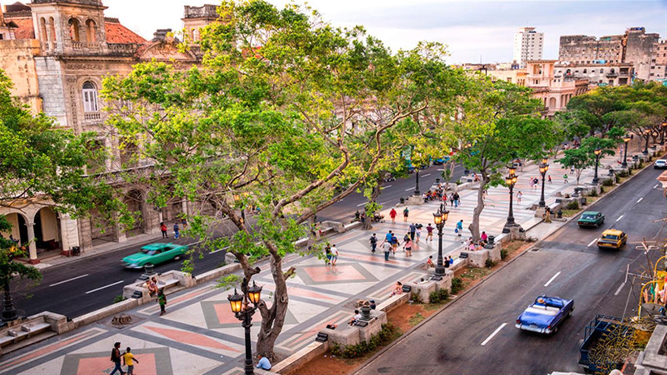 paseo-prado (Medium)