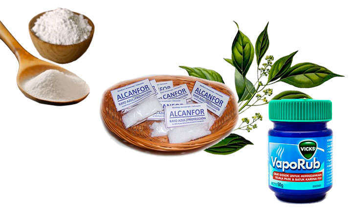 alcanfor-que-es