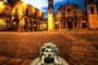 CARTEL19 (Small)