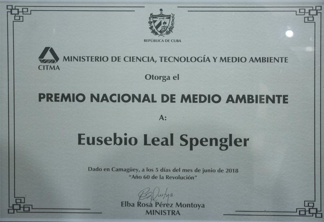 premio medio ambiente 3 (Medium)