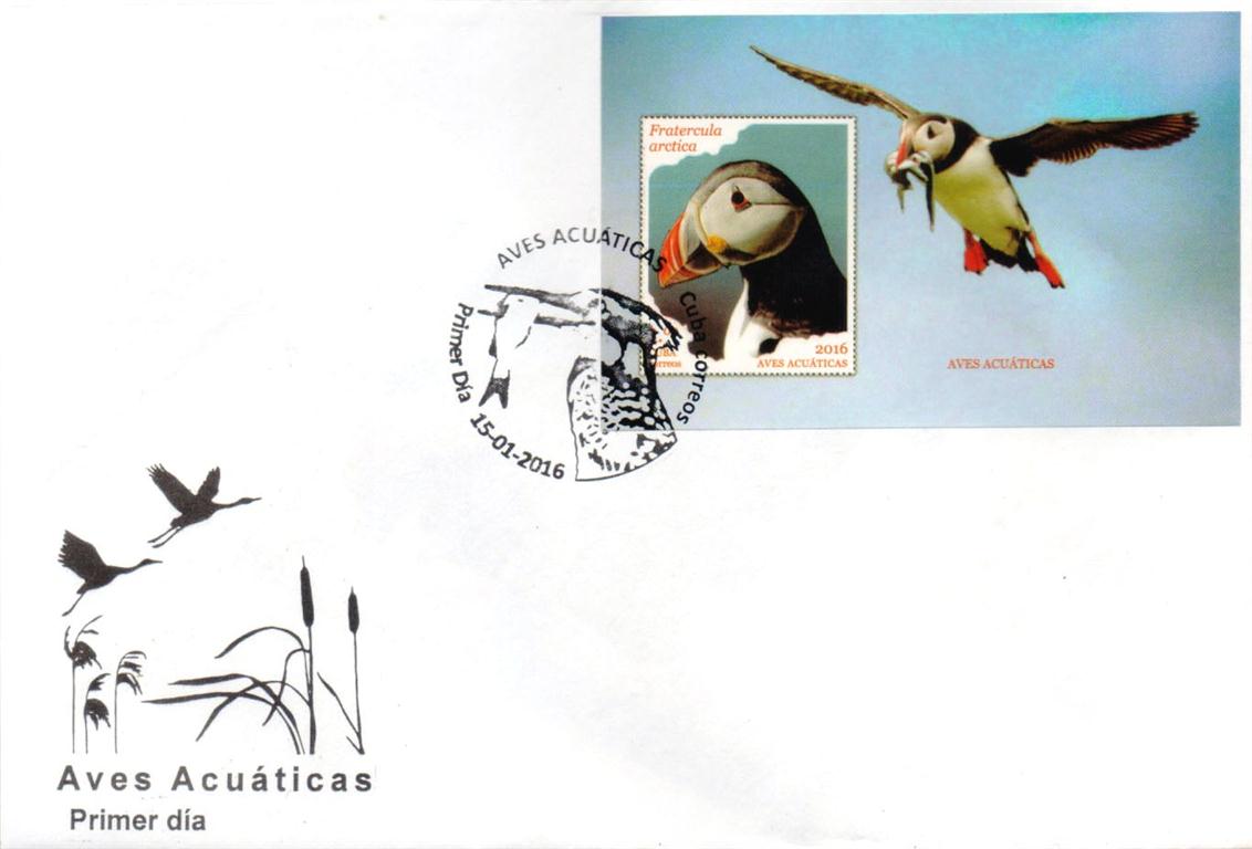 aves acuaticas 3 (Medium)