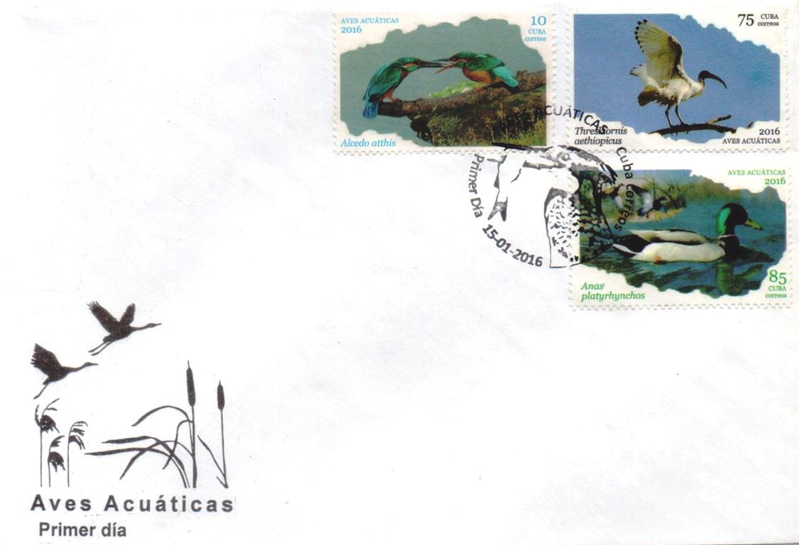 aves acuáticas1 (Medium)