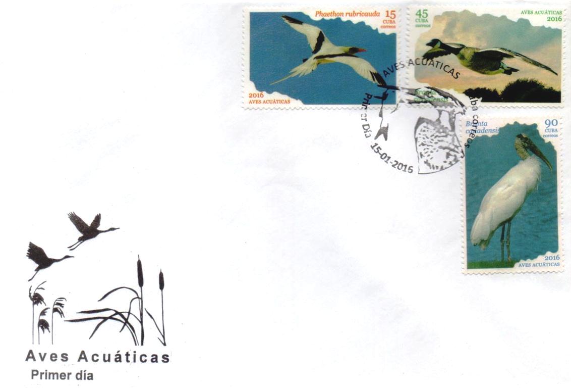aves acuáticas2 (Medium)