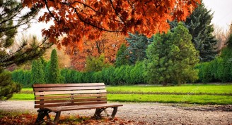 depositphotos_3092055-stock-photo-beautiful-brown-bench-in-autumn