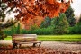 depositphotos_3092055-stock-photo-beautiful-brown-bench-in-autumn