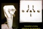conector argentino