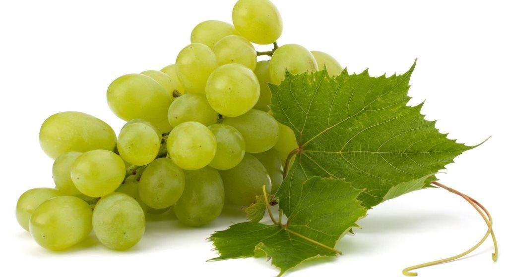 uva-verde-1