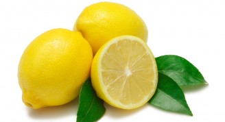 Limon (Medium)