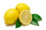 Limon (Medium)